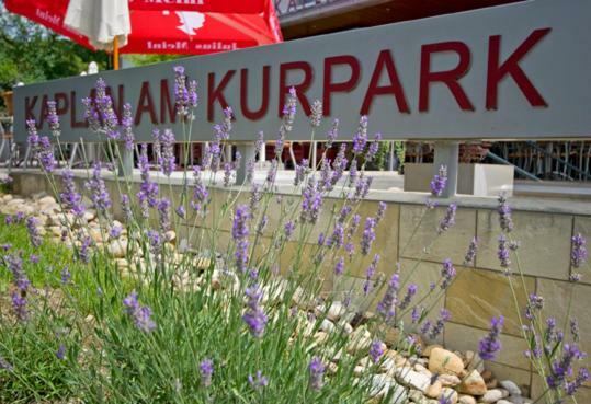 Kaplan Am Kurpark Hotel Bad Tatzmannsdorf Eksteriør billede